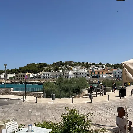Apartment Darya Summer. Al Mare. *
